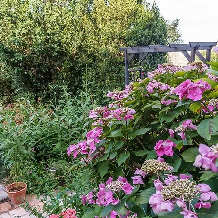 Mas Des Carnassoles לינה וארוחת בוקר Carnas